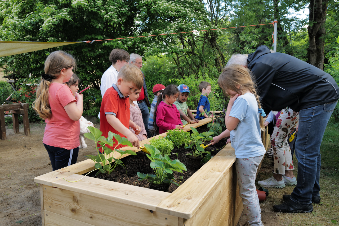 Ein Hochbeet für den Kindergarten An der Vormasch - LC ALFELD - Lions
